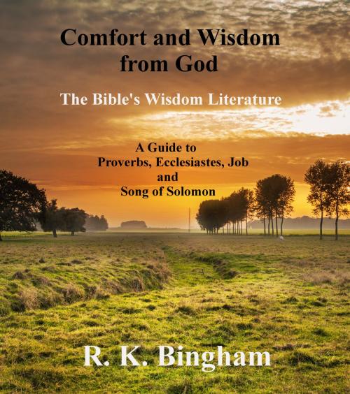 Cover of the book Comfort and Wisdom from God by R. K. Bingham, Anchor Firm Publishing