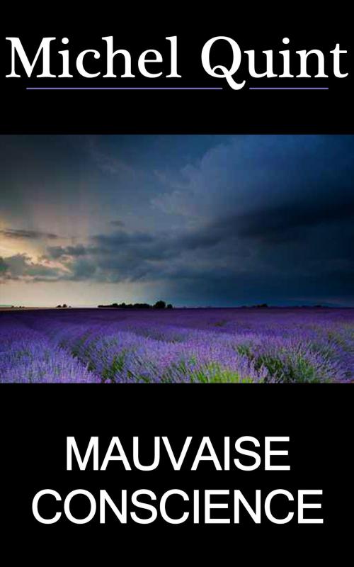 Cover of the book Mauvaise conscience by Michel Quint, GLM LLC