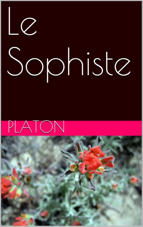 Cover of the book Le Sophiste by Platon, NA