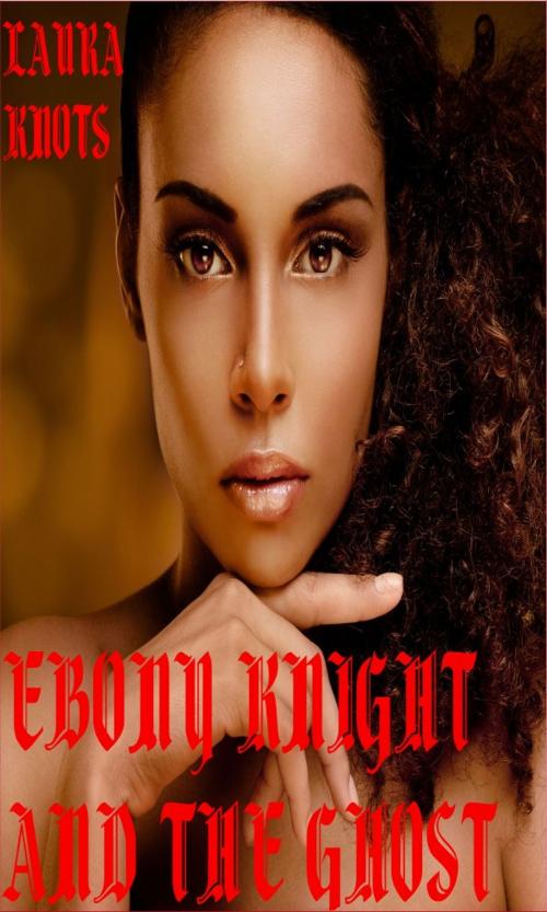 Cover of the book Ebony Knight and the Ghost by Laura Knots, Unimportant Books