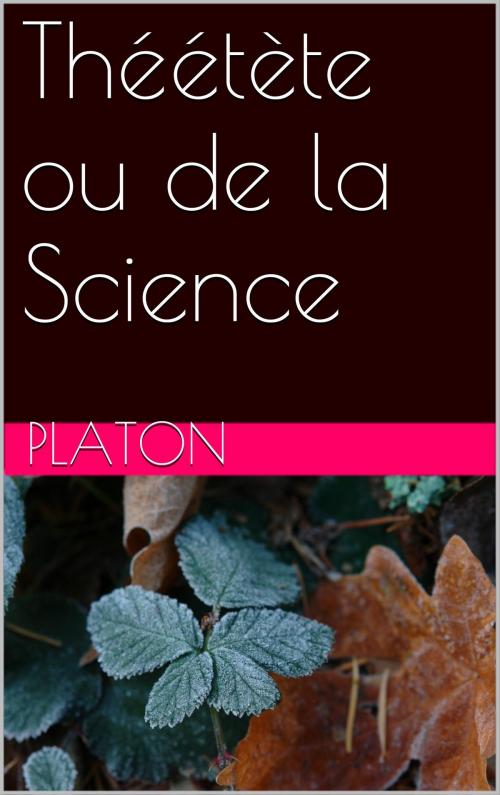 Cover of the book Théétète ou de la Science by Platon, NA