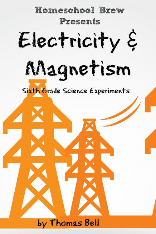 Cover of the book Electricity & Magnetism by Thomas Bell, HomeSchool Brew Press