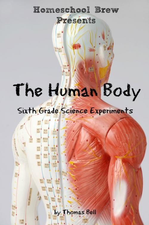 Cover of the book The Human Body by Thomas Bell, HomeSchool Brew Press