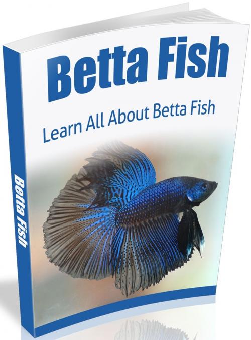 Cover of the book Betta Fish by Anonymous, Consumer Oriented Ebooks Publisher