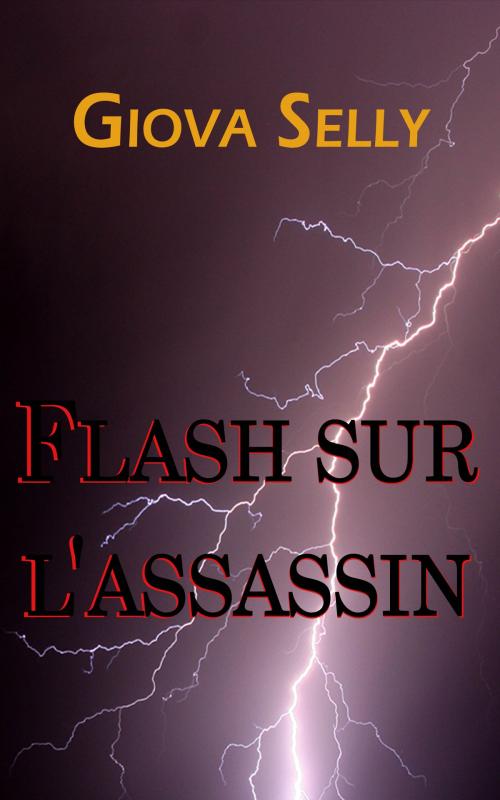 Cover of the book Flash sur l'Assassin by Giova Selly, GLM LLC