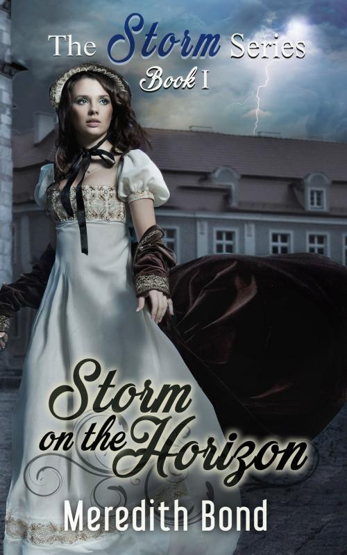 Cover of the book Storm on the Horizon by Meredith Bond, Anessa Books