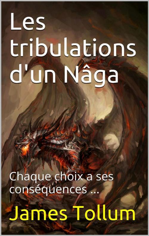 Cover of the book Les tribulations d'un Nâga by James Tollum, Lune d'argent