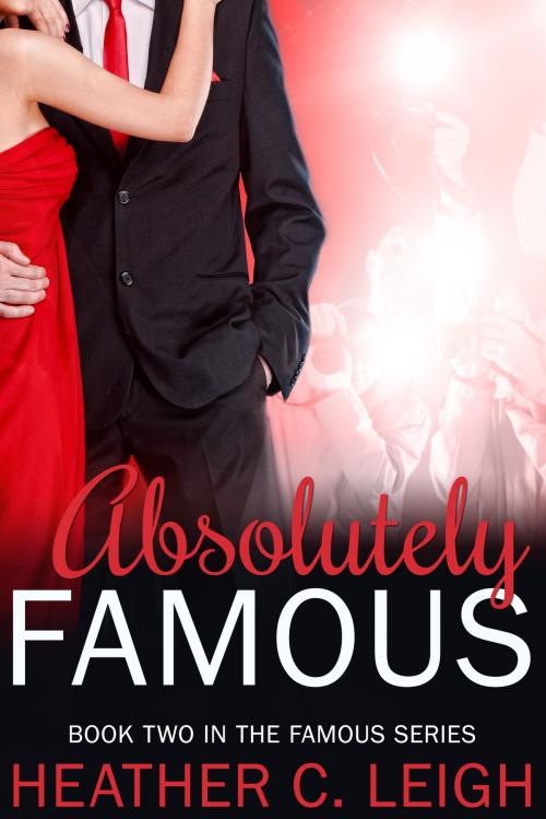 Cover of the book Absolutely Famous by Heather C. Leigh, Shelbyville