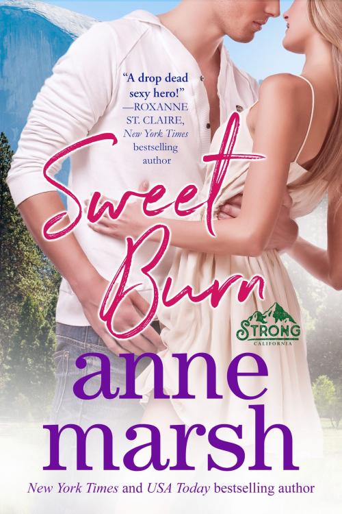 Cover of the book Sweet Burn by Anne Marsh, Anne Marsh