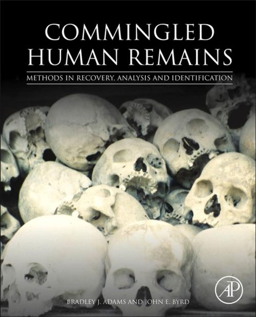 Cover of the book Commingled Human Remains by Bradley Adams, John Byrd, Elsevier Science