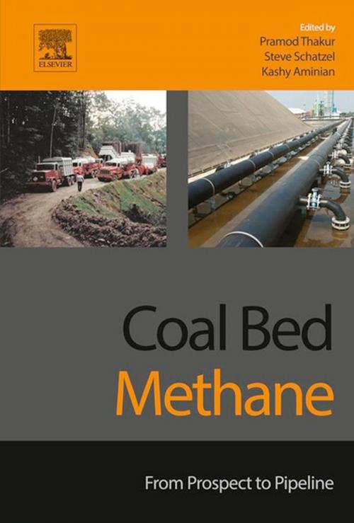 Cover of the book Coal Bed Methane by , Elsevier Science
