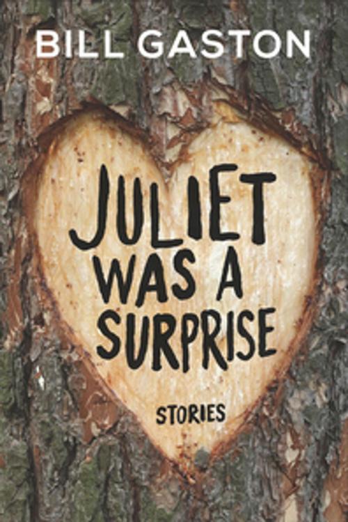Cover of the book Juliet Was a Surprise by Bill Gaston, Penguin Canada