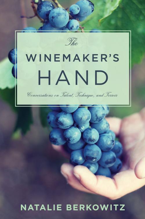 Cover of the book The Winemaker's Hand by Natalie Berkowitz, Columbia University Press