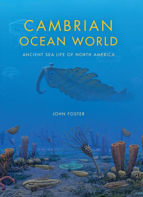 Cover of the book Cambrian Ocean World by John Foster, Indiana University Press