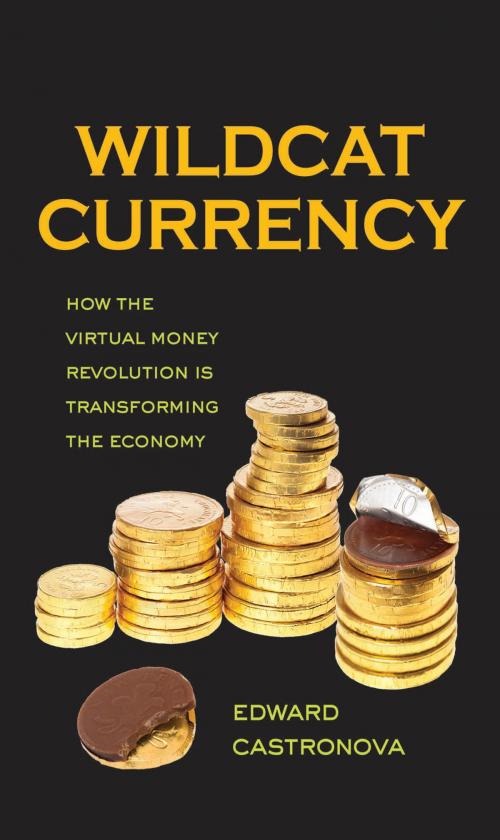 Cover of the book Wildcat Currency by Edward Castronova, Yale University Press