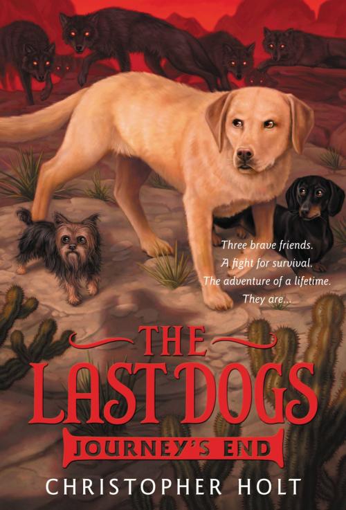 Cover of the book The Last Dogs: Journey's End by Christopher Holt, Little, Brown Books for Young Readers