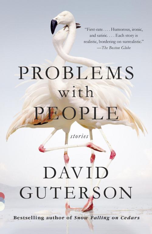 Cover of the book Problems with People by David Guterson, Knopf Doubleday Publishing Group