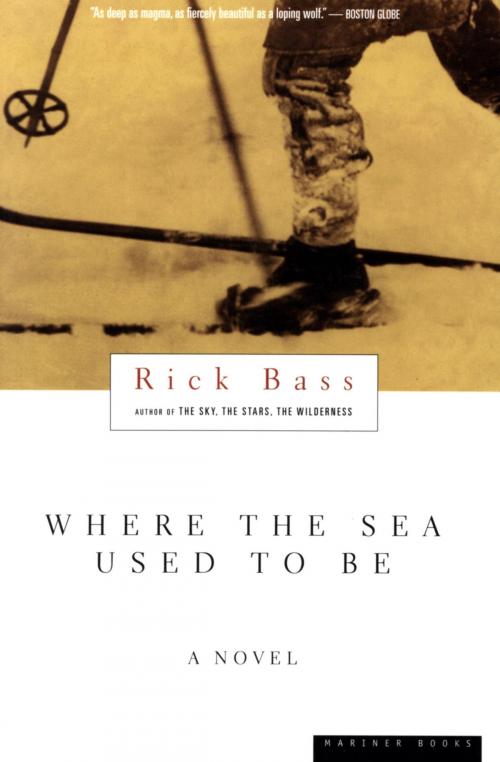 Cover of the book Where the Sea Used to Be by Rick Bass, HMH Books