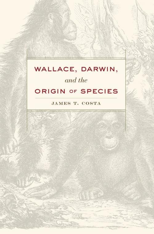 Cover of the book Wallace, Darwin, and the Origin of Species by James T. Costa, Harvard University Press