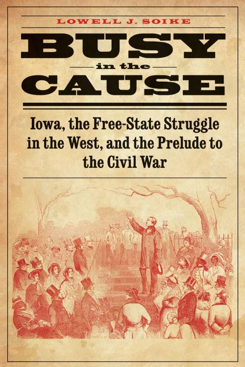 Cover of the book Busy in the Cause by Lowell J. Soike, UNP - Nebraska Paperback