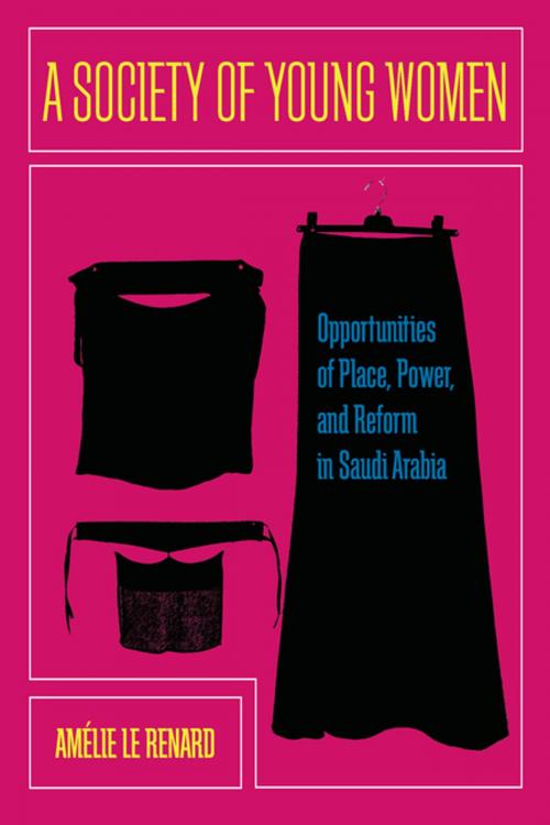 Cover of the book A Society of Young Women by Amelie Le Renard, Stanford University Press
