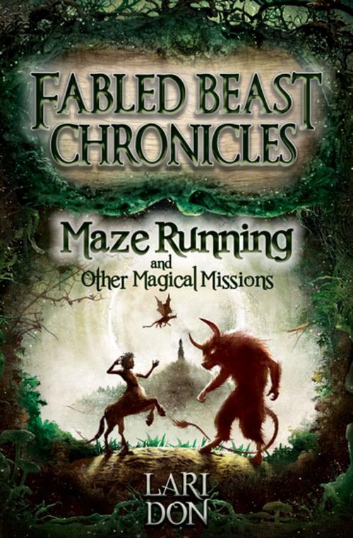 Cover of the book Maze Running and other Magical Missions by Lari Don, Floris Books