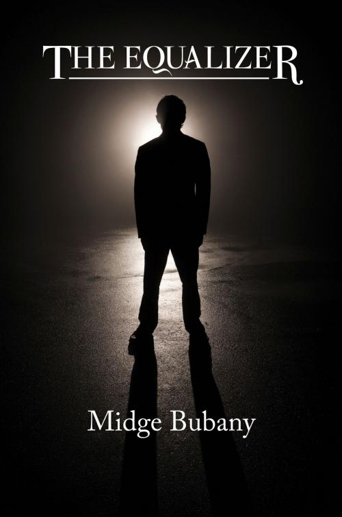 Cover of the book The Equalizer by Midge Bubany, North Star Press of St. Cloud