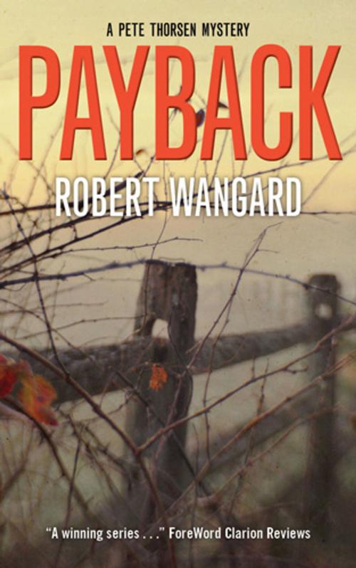 Cover of the book Payback by Robert Wangard, Ampersand, Inc.