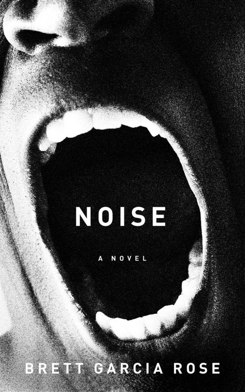 Cover of the book Noise by Brett Garcia Rose, Brett Systems, Inc.