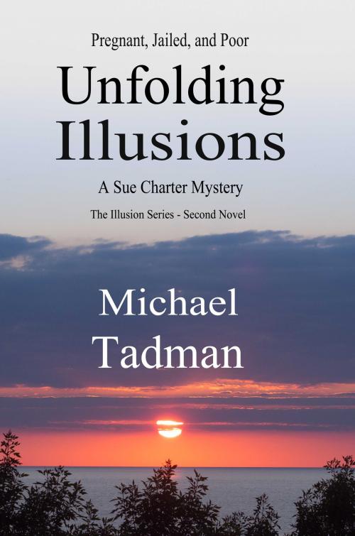 Cover of the book Unfolding Illusions by Michael Tadman, Michael Tadman
