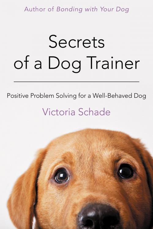 Cover of the book Secrets of a Dog Trainer by Victoria Schade, Turner Publishing Company
