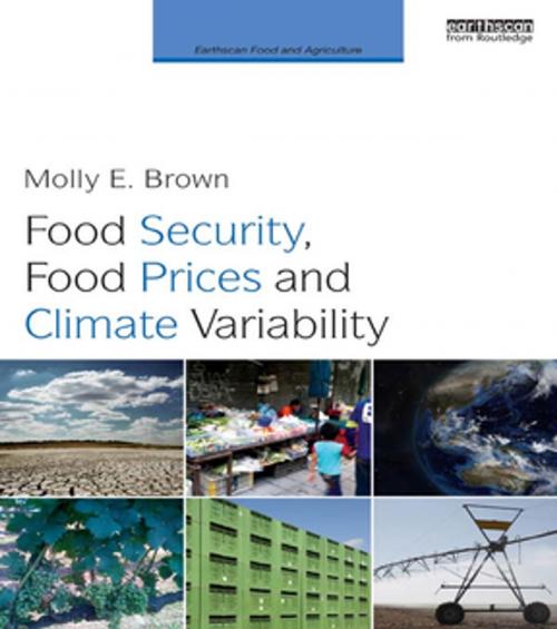 Cover of the book Food Security, Food Prices and Climate Variability by Molly E. Brown, Taylor and Francis