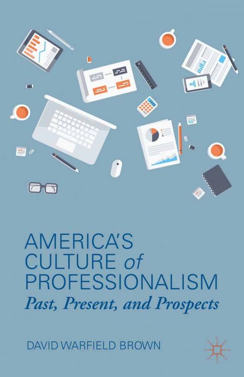 Cover of the book America’s Culture of Professionalism by D. Brown, Palgrave Macmillan US