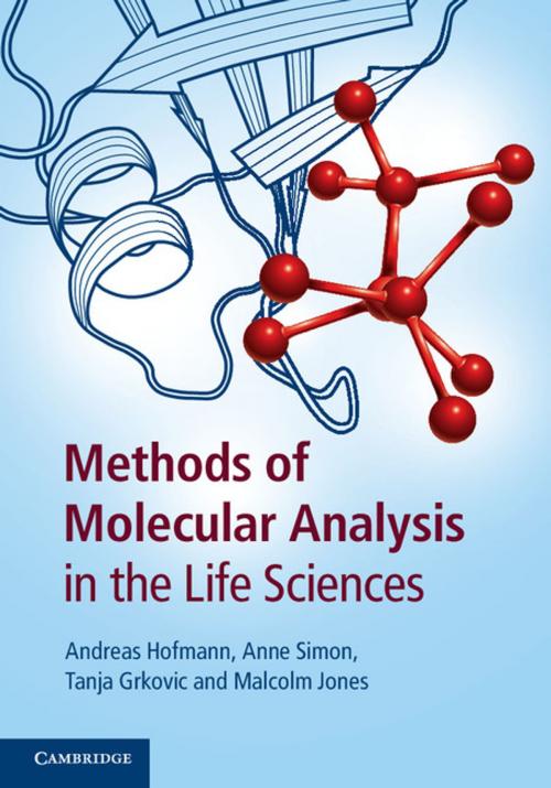 Cover of the book Methods of Molecular Analysis in the Life Sciences by Andreas Hofmann, Anne Simon, Tanja Grkovic, Malcolm Jones, Cambridge University Press