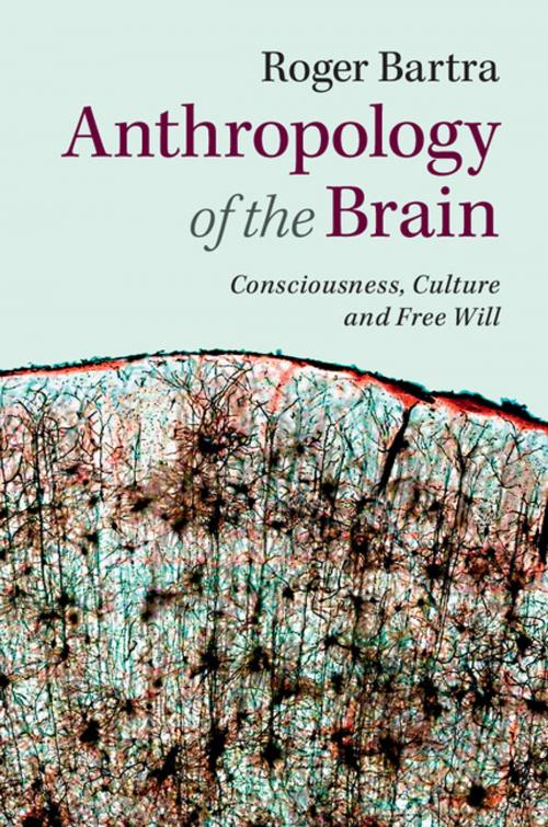 Cover of the book Anthropology of the Brain by Roger Bartra, Cambridge University Press