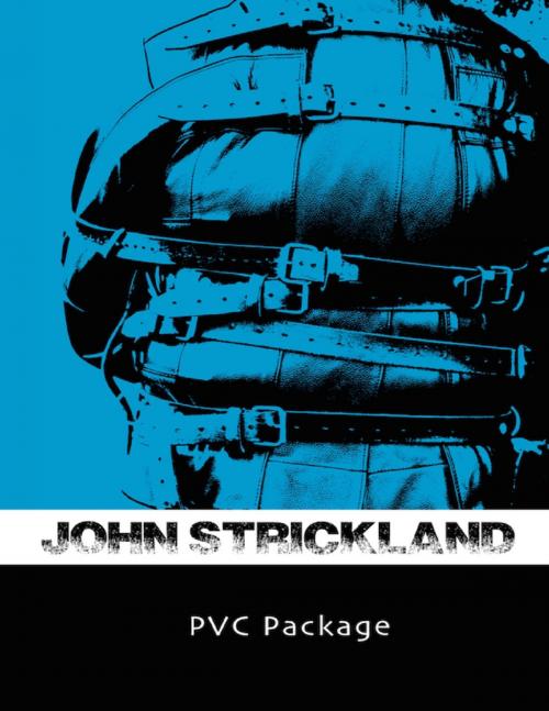 Cover of the book Pvc Package by John Strickland, Lulu.com