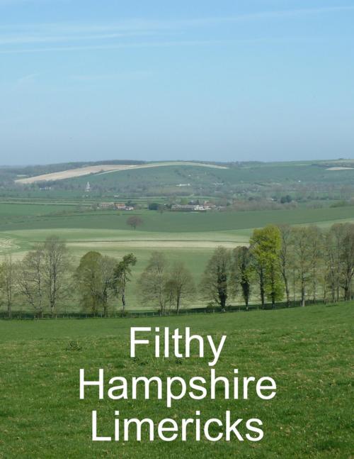 Cover of the book Filthy Hampshire Limericks by Stuart Pidd, Lulu.com