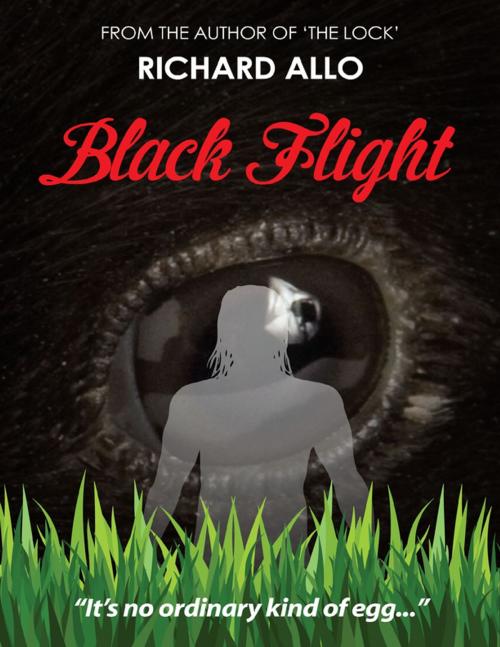 Cover of the book Black Flight by Richard Allo, Lulu.com