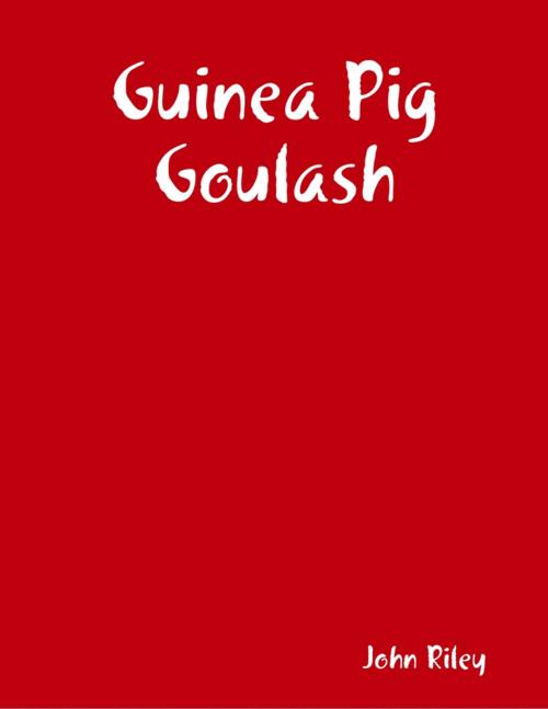 Cover of the book Guinea Pig Goulash by John Riley, Lulu.com