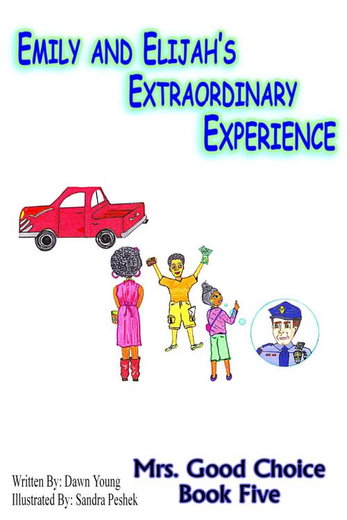 Cover of the book Emily and Elijah's Extraordinary Experience by Dawn Young, Dawn Young