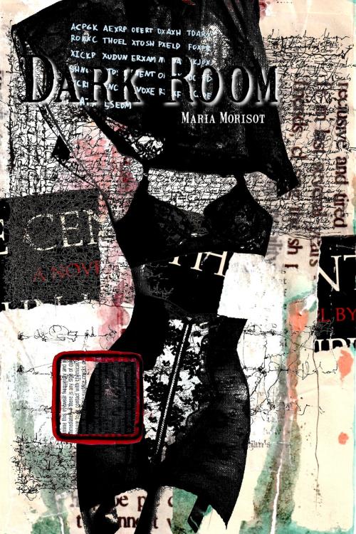 Cover of the book Dark Room by Maria Morisot, Maria Morisot