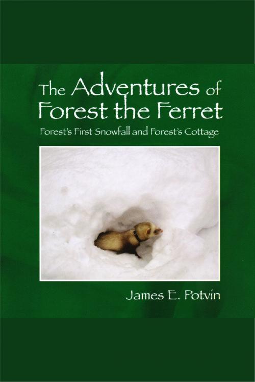 Cover of the book The Adventures of Forest the Ferret by James E. Potvin, James E. Potvin