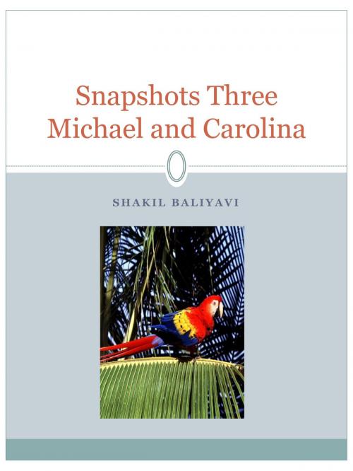Cover of the book Snapshots Three by Shakil Baliyavi Sr, Shakil Baliyavi, Sr