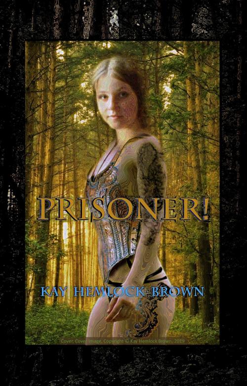 Cover of the book Prisoner! by Kay Hemlock Brown, Kay Hemlock Brown