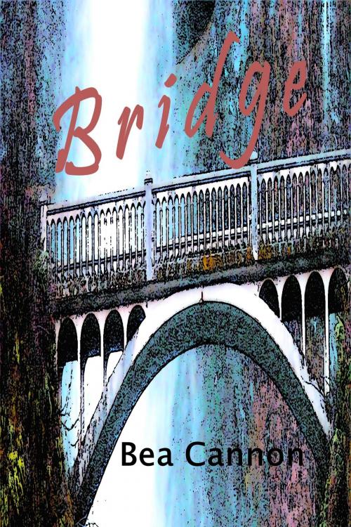 Cover of the book Bridge by Bea Cannon, Bea Cannon