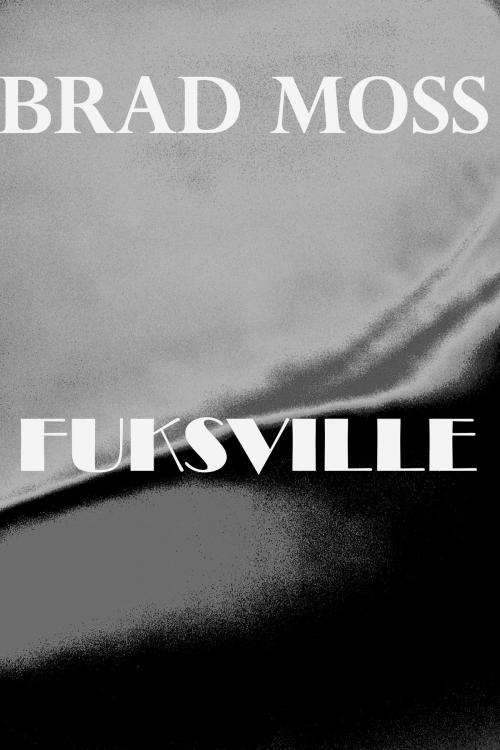 Cover of the book Fuksville by Brad Moss, Brad Moss