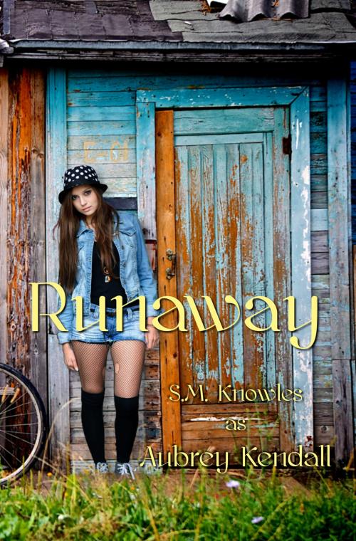 Cover of the book Runaway by S.M. Knowles, S.M. Knowles