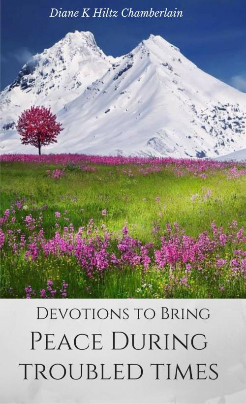 Cover of the book Devotions to Bring Peace During Troubled Times by Diane K Hiltz Chamberlain, Diane K Hiltz Chamberlain