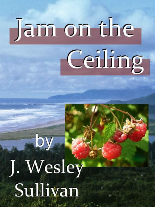Cover of the book Jam on the Ceiling by J. Wesley Sullivan, Mary E. Lowd