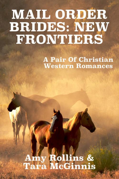 Cover of the book Mail Order Brides: New Frontiers (A Pair Of Christian Western Romances) by Amy Rollins, Susan Hart